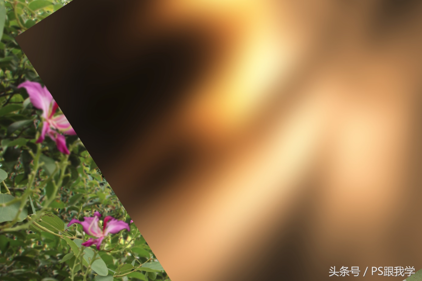 ps拼贴景观效果图教程,ps做景观效果图的步骤方法