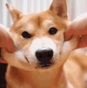 被蚊子叮了感染寄生虫怎么发现,蚊子叮的包会不会有寄生虫