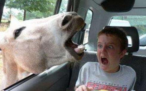 韩国队足球世界杯犯规小合集,02年世界杯韩国队犯规集锦