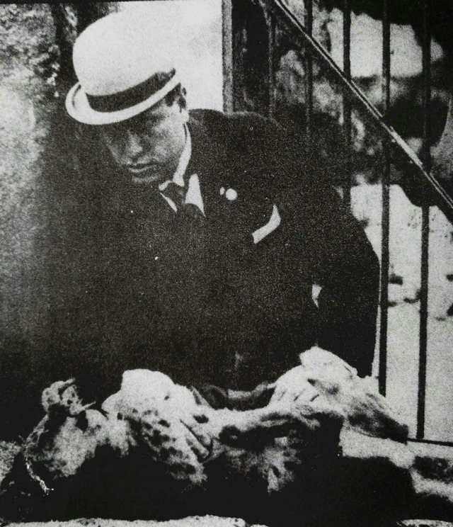 二战墨索里尼的贡献,二战风云人物墨索里尼