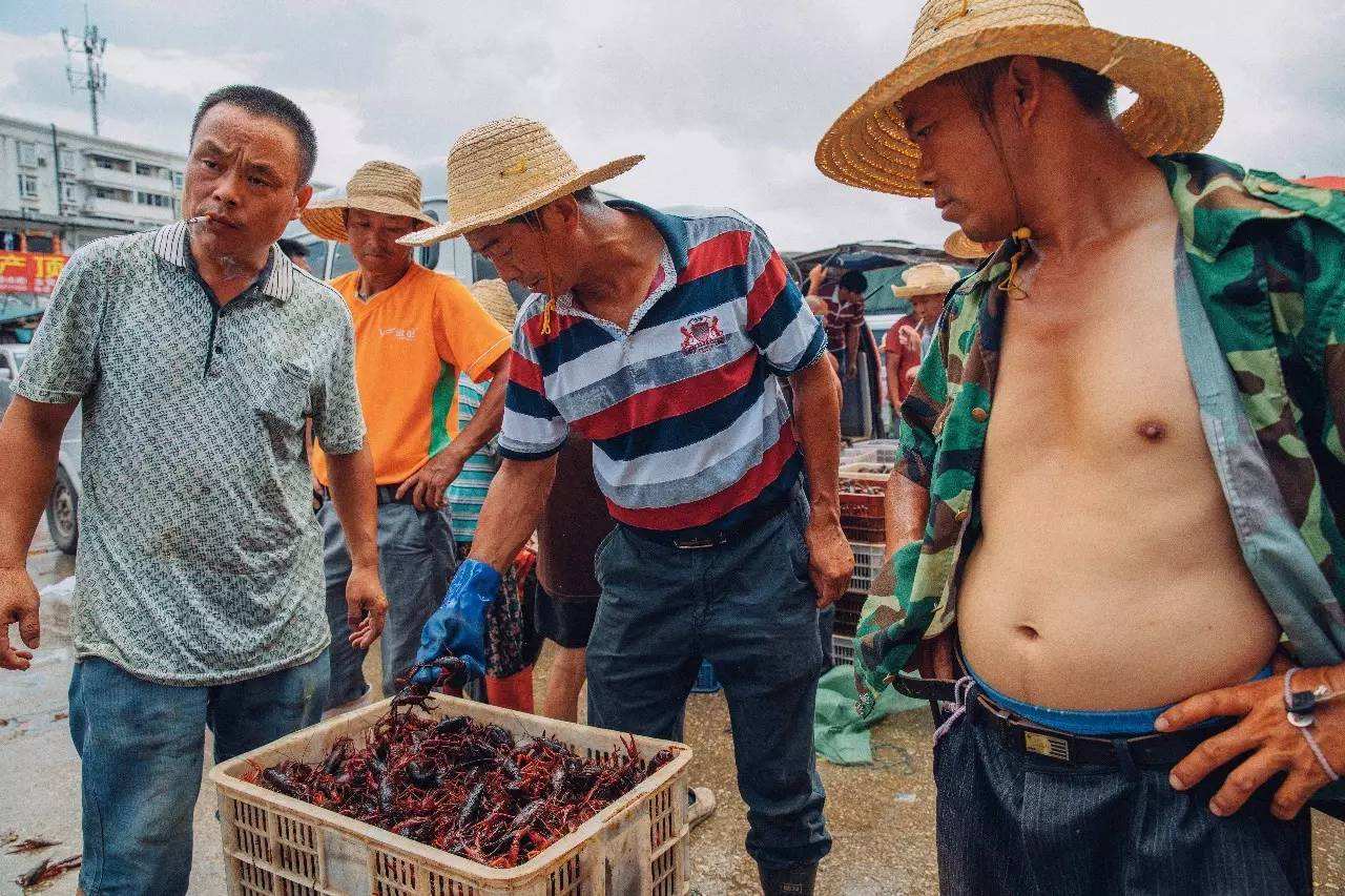 潜江油焖大虾发源地,湖北潜江五七油焖大虾火爆场面