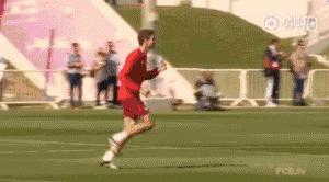 世界杯德国最美太太团,世界杯四强最美太太