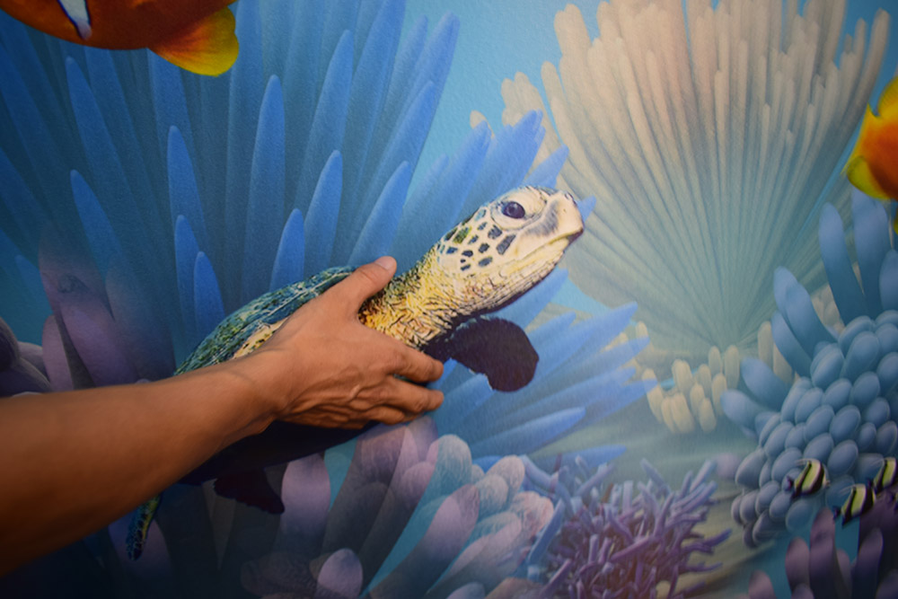 来海口吃羊肉,海南地道东山羊