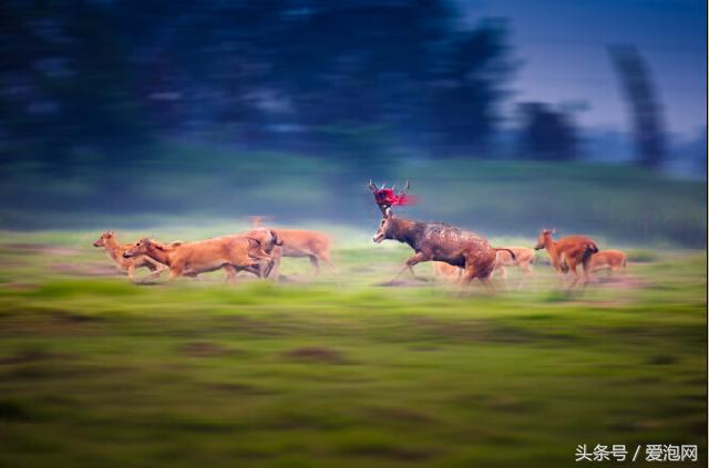 江苏溱湖国家湿地公园,江苏溱潼湿地公园