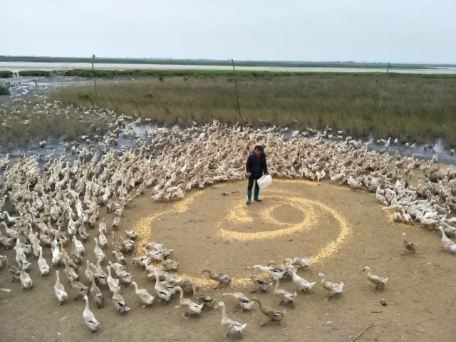 鍖楁捣绔ラ瀷,鍖楁捣甯傜殑绔ラ瀷