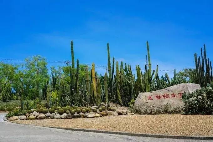 厦门自由行攻略六日游,厦门自由行3-4天攻略推荐