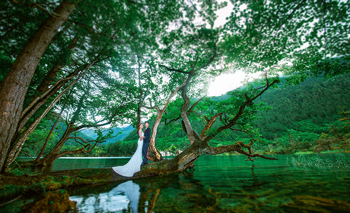 文艺治愈系古风婚纱照,厦门简约文艺清新婚纱照推荐
