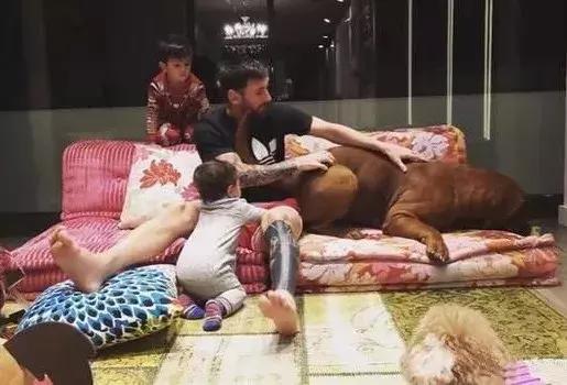 世界足球运动员十大私人豪宅,足球巨星的豪宅有多豪