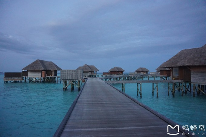 马尔代夫蝴蝶岛,马尔代夫港丽岛属于几星岛