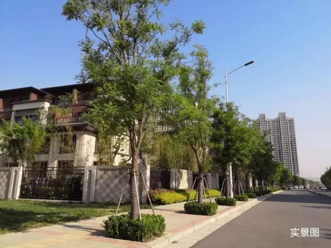 郑州南龙湖房价最便宜楼盘,南龙湖最新房价跌了吗