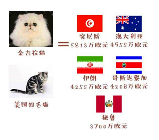 世界杯和国足身价对比,世界杯足球队价值排行榜