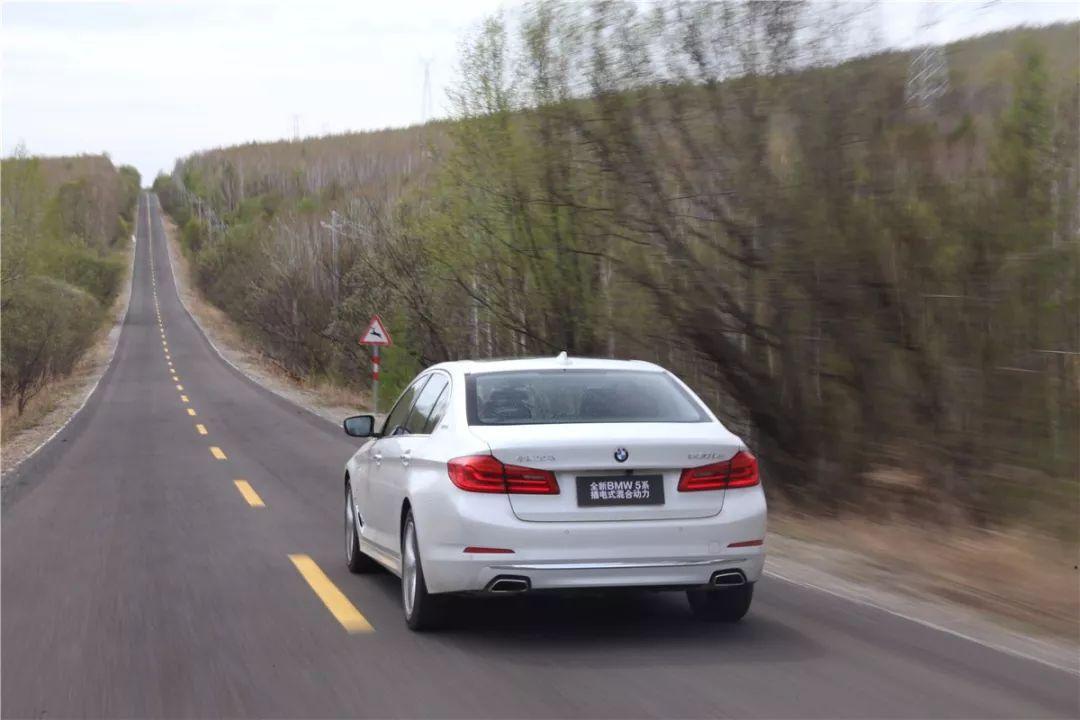 所罗门王的指环完整版,所罗门王的指环全文