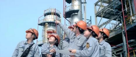 镇海炼化炼油利润占比多少,镇海炼化炼油1500万吨