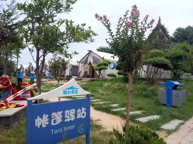 洛阳夏天一日游必去的地方景点,洛阳一日游适合去哪