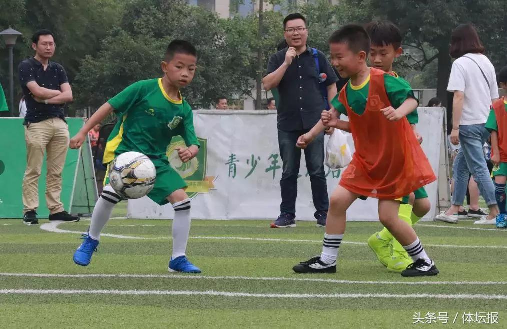 浙本生意经｜足球培训企业“借东风”，家长纷纷送孩子去踢球