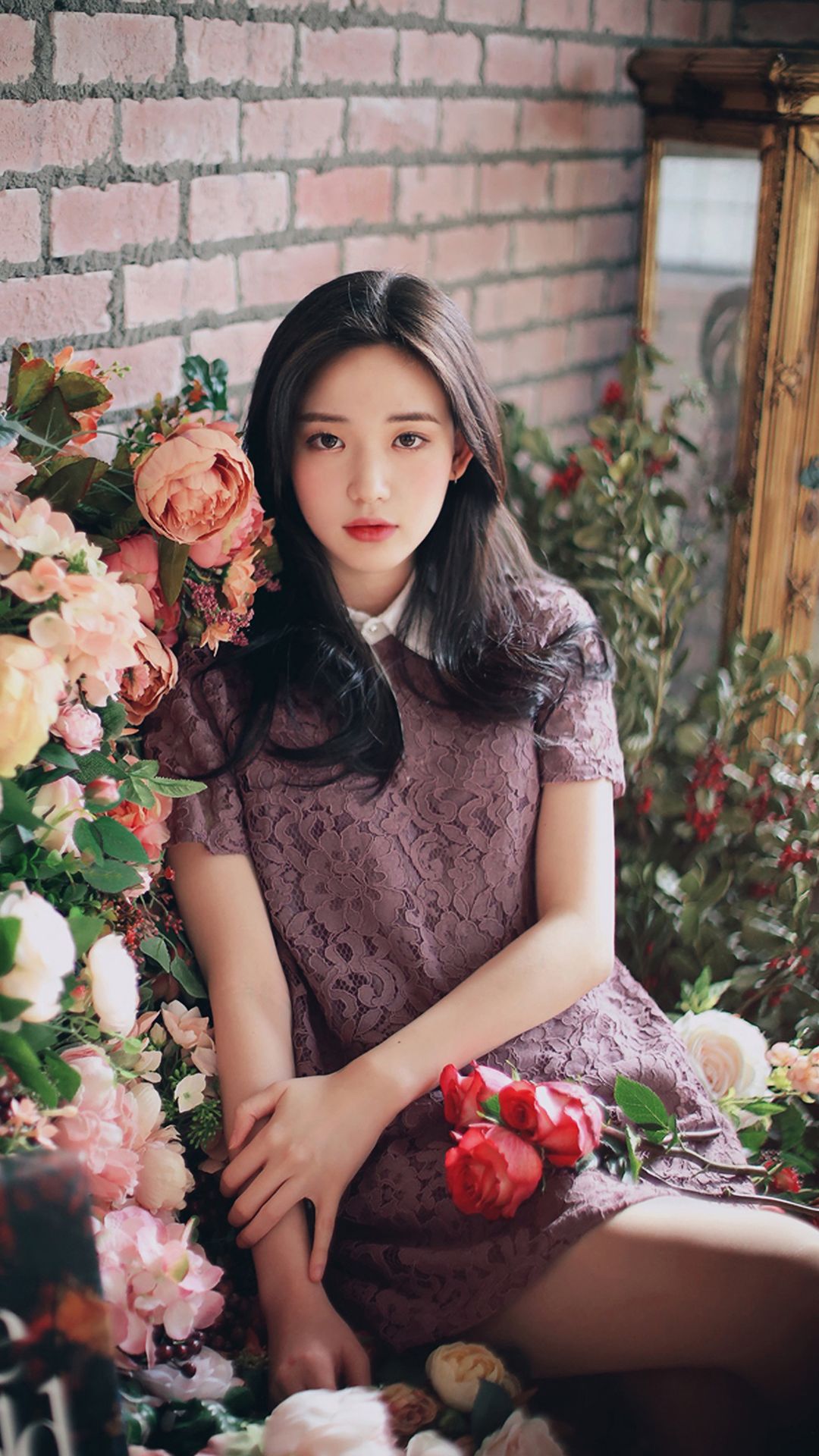 hd高清壁纸大全,hd高清壁纸