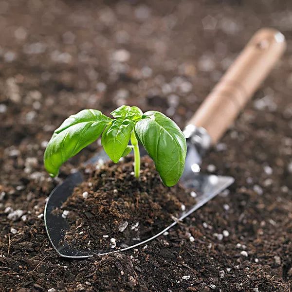自己制作生物堆肥教程,园艺半干半湿废弃物堆肥发酵