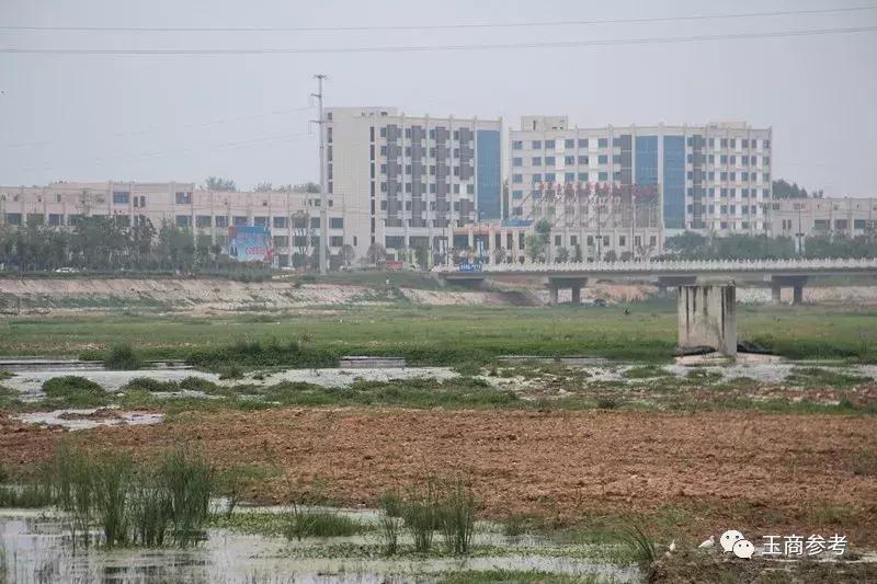 河南石佛寺玉器市场你了解吗,河南石佛寺玉器市场现状视频