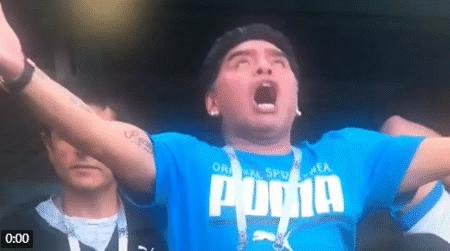 马拉多纳欢呼图片,马拉多纳庆祝动作