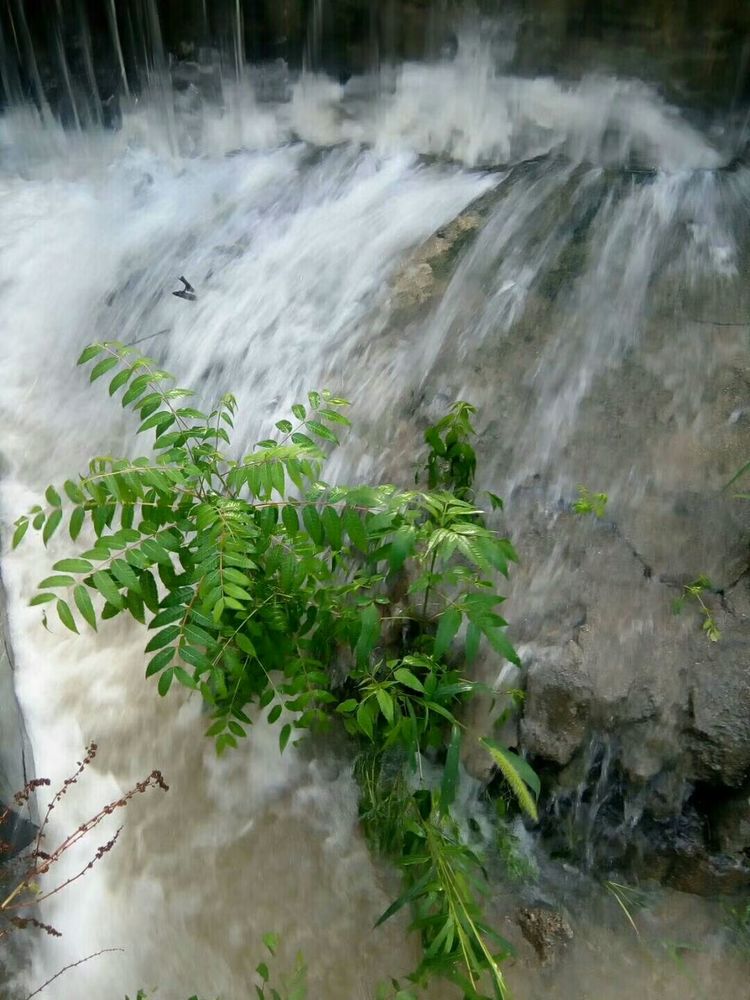天晴湾风景区,淄川天晴湾