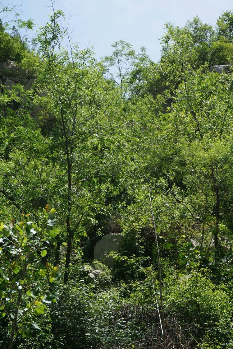 天晴湾风景区,淄川天晴湾