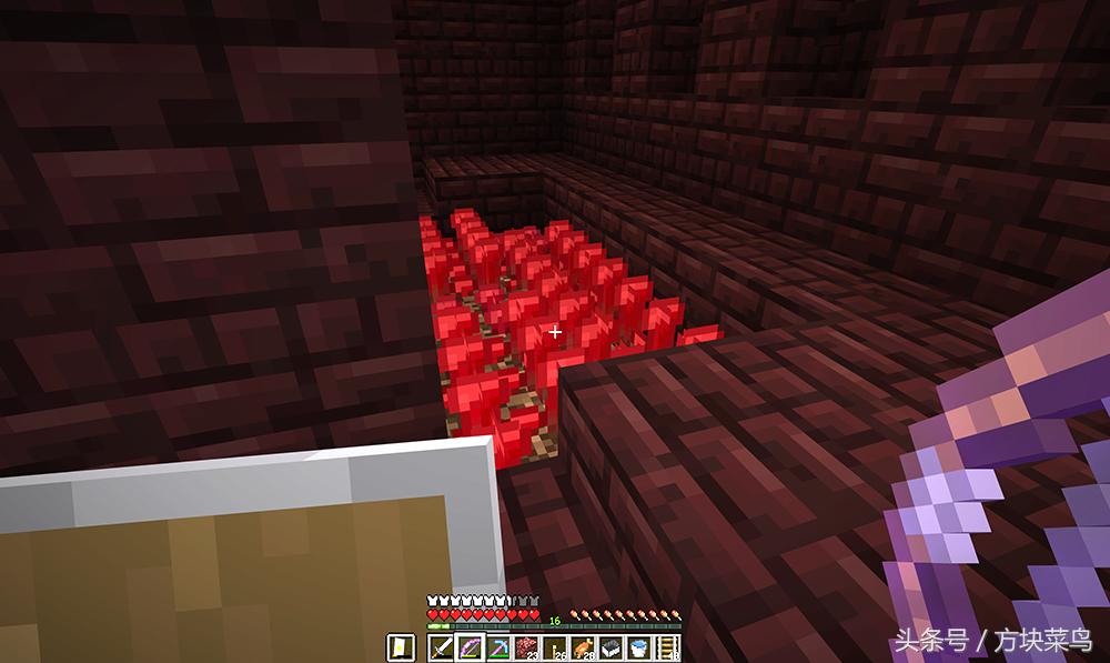 我的世界网易版菜鸟生存日记,我的世界菜鸟生存记