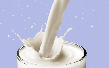 莫丽尼菲牛奶,百菲酪与莫丽尼菲水牛奶