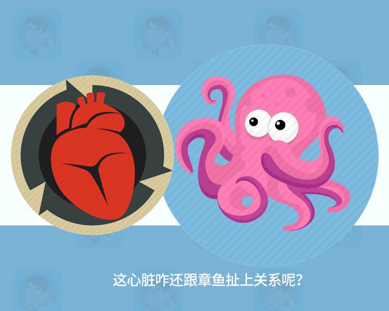 因世界杯而丧命,因世界杯死了多少人