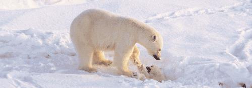 西安夏天有什么玩的,西安玩的娱乐项目