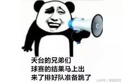 世界杯冠军们的太太团,盘点世界杯太太团争艳