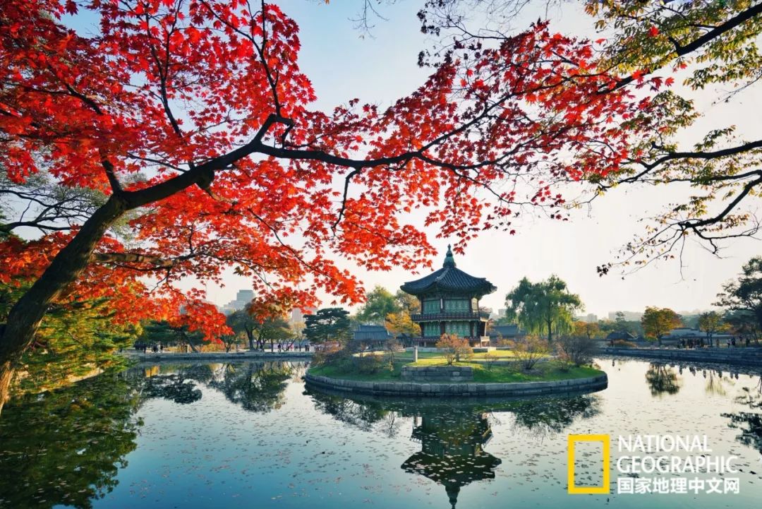 韩国足球的犯规艺术,韩国踢足球犯规现场