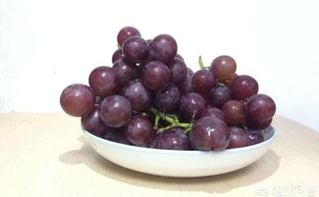怎么挑选葡萄才是最好吃,如何挑选又甜又好吃的葡萄