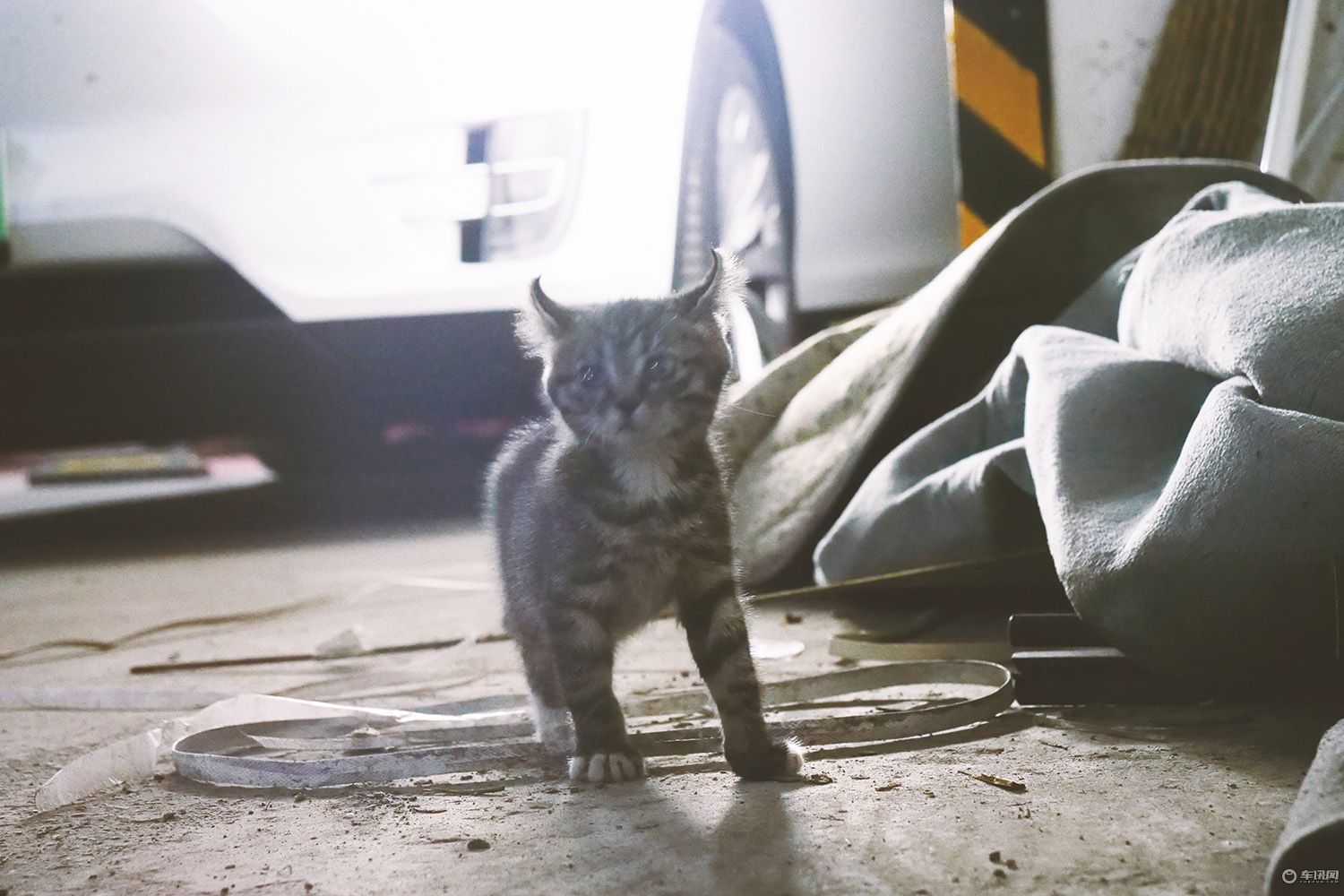 特斯拉modelx自驾游,特斯拉长续航modelx自驾海南