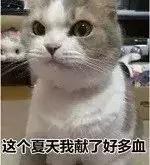 萧县工资10000-15000的工作,安徽萧县最低工资