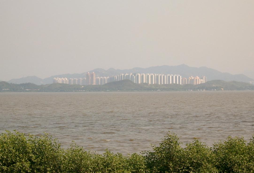 深圳钓鱼免费地点推荐,深圳10个免费钓鱼的好地方