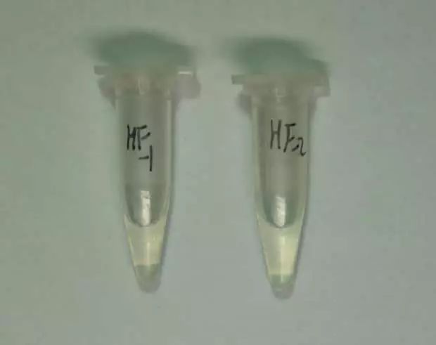 禁毒别让毒品吞噬你的青春,禁毒背影