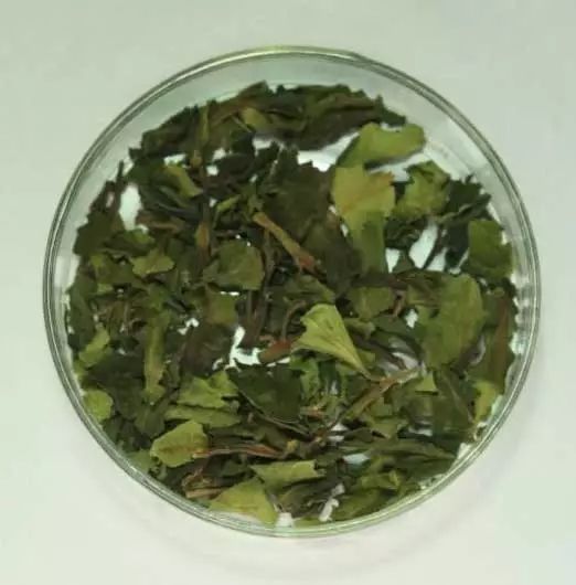 全国人民禁毒法规定禁毒是什么,国家禁毒相关法规内容