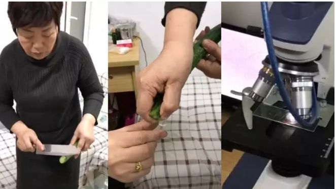 “义”正听｜黄瓜中有杀不死的寄生虫？真相是……