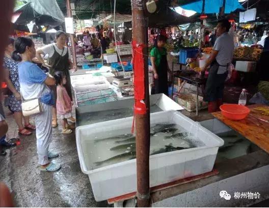 曝光无良商家缺斤短两违法吗,市场商贩缺斤少两被曝光