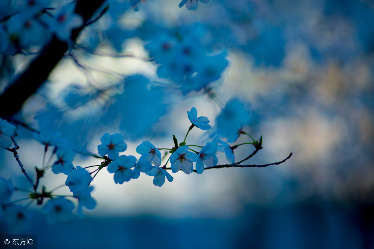 佛经为什么看不懂,佛经看不懂怎么信佛