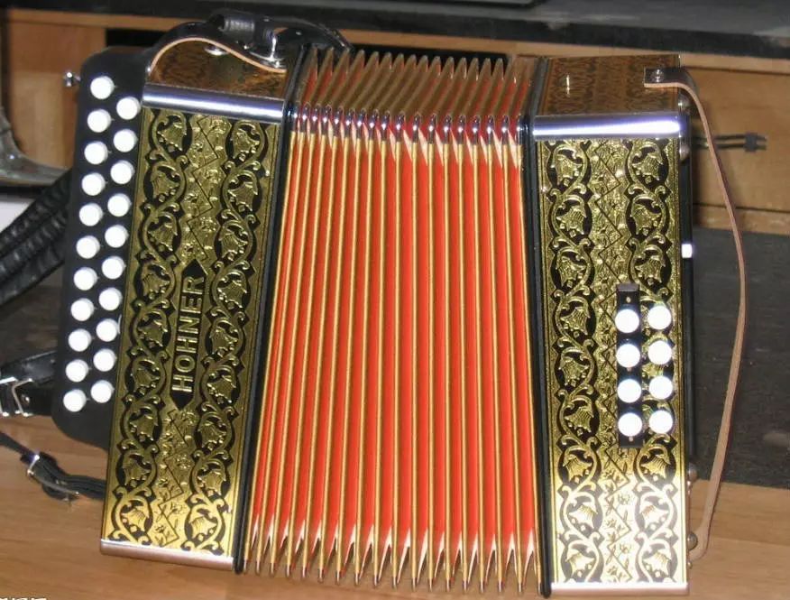 手风琴的鼻祖是中国的乐器,手风琴的鼻祖是什么