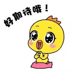 世界杯吉祥物合集,世界杯吉祥物数字藏品