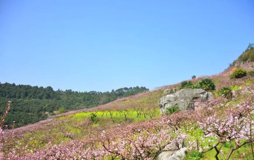 未来辰溪县,下一站溆浦