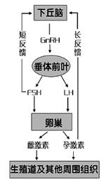 医生推荐：避孕药使用方法总结