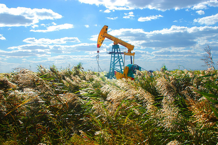 盘锦鼎翔旅游景区,辽宁盘锦旅游景区集锦