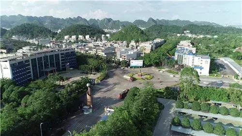 我为家乡代言坡头,我为家乡农产品代言苹果