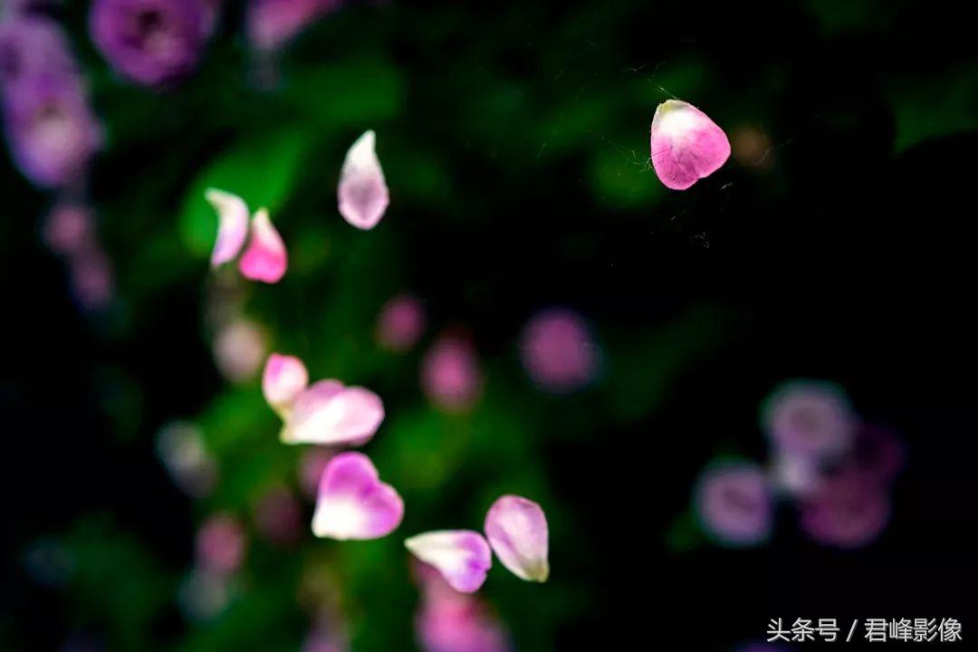 如何调出徕卡德味色彩,如何调出徕卡一样的色彩