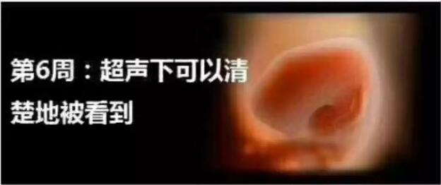 养出漂亮宝宝,养出聪明娃的技巧