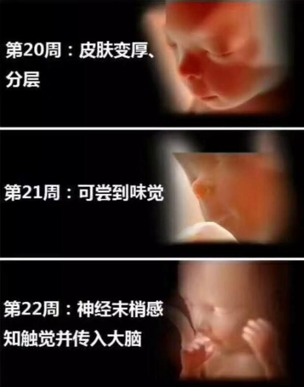 孕妈十月怀胎，详解每周小宝宝在妈妈肚子里发生了哪些变化，实用