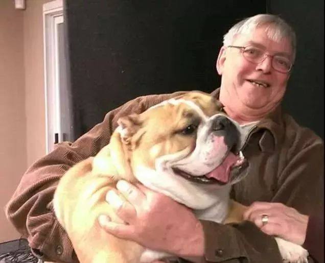 绝育狗狗性格会变好吗,绝育狗狗还有可能怀孕吗